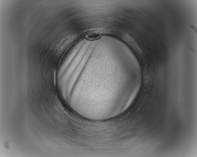 X0000099970014200806061640