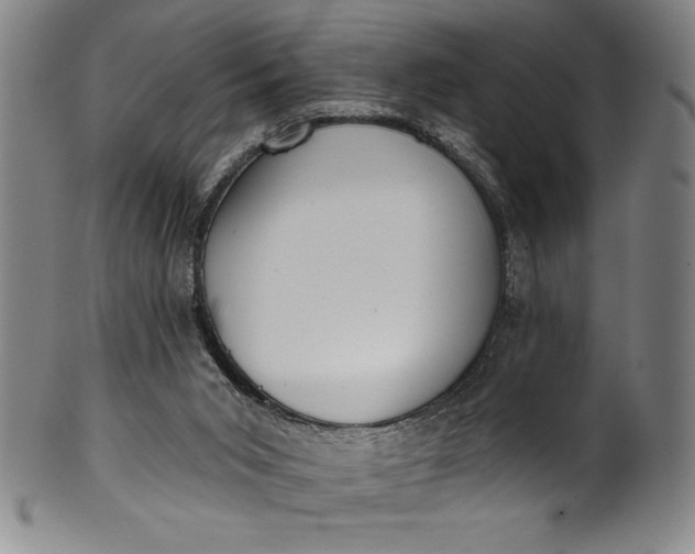 X0000099970015200806061640