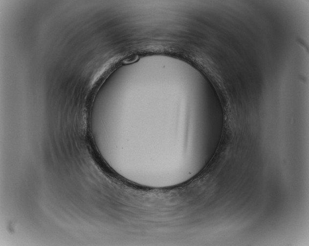 X0000099970016200806061640