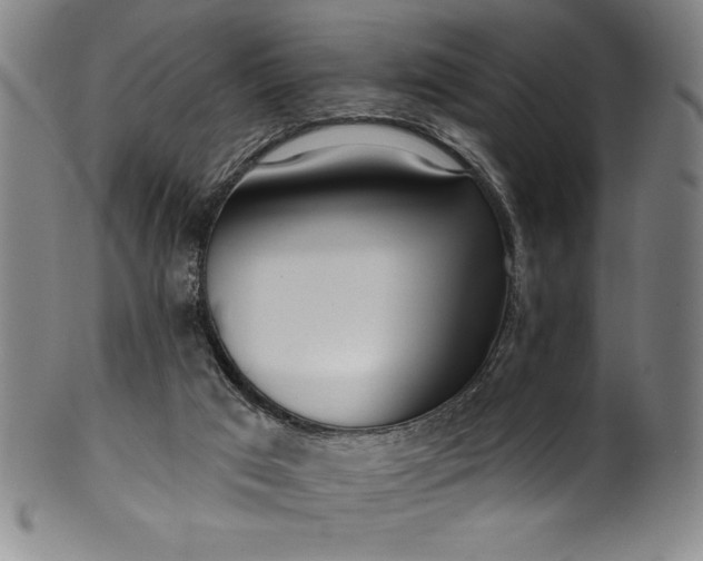 X0000099970017200806061640