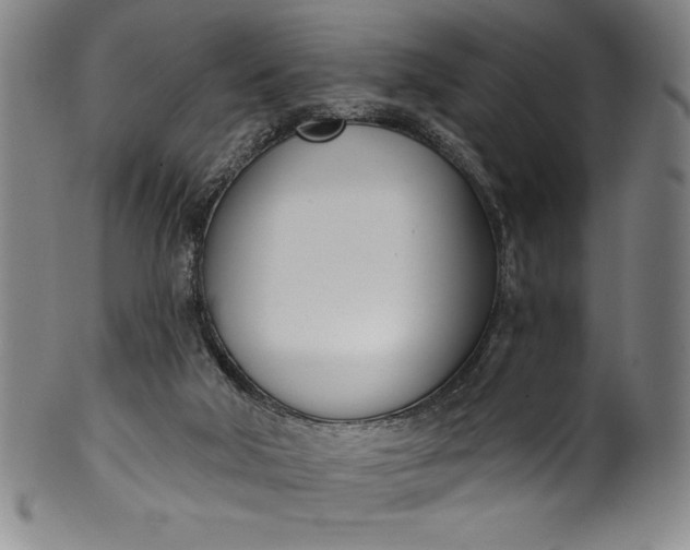 X0000099970018200806061640