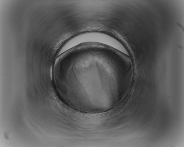 X0000099970019200806061640