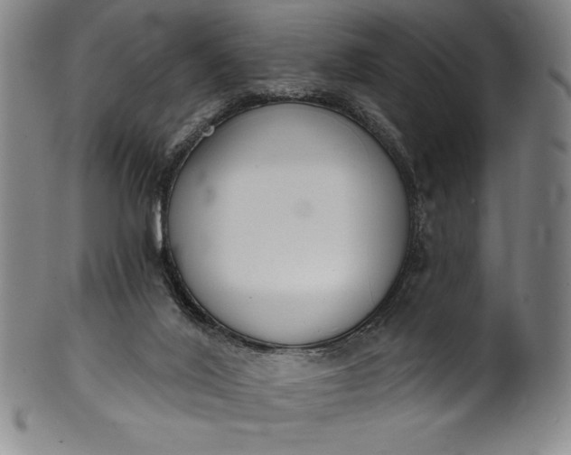 X0000099970020200806061640