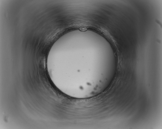 X0000099970021200806061640