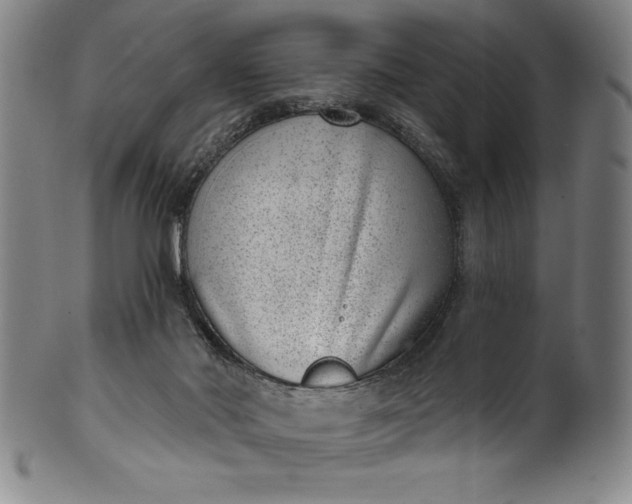 X0000099970022200806061640