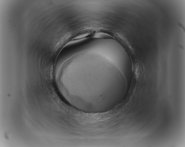 X0000099970023200806061640