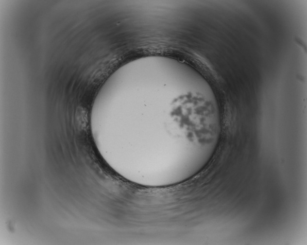 X0000099970025200806061640