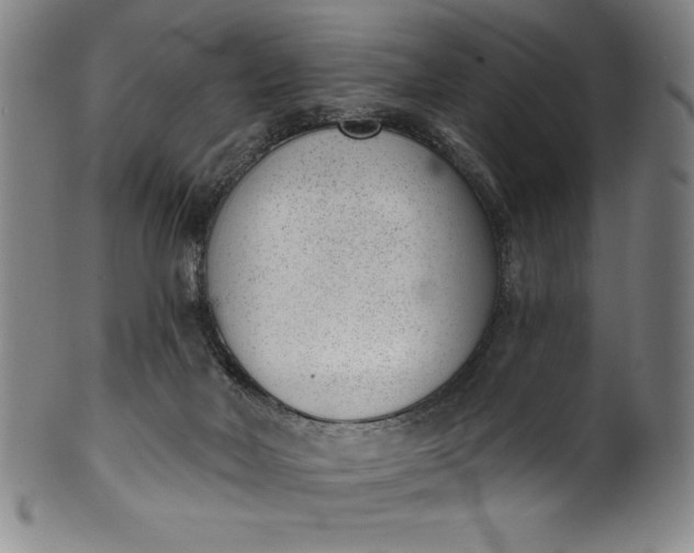 X0000099970026200806061640