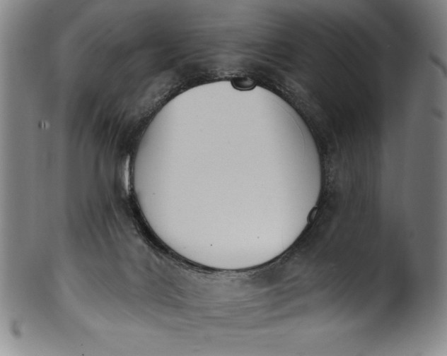 X0000099970028200806061640