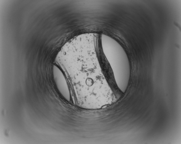 X0000099970029200806061640