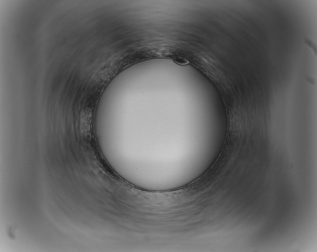 X0000099970030200806061640