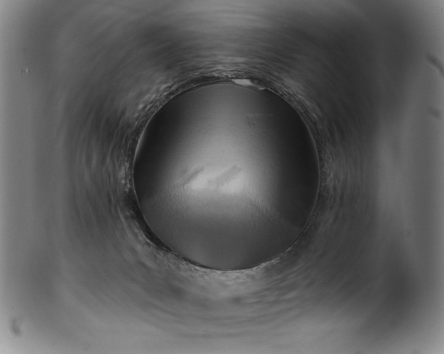 X0000099970031200806061640