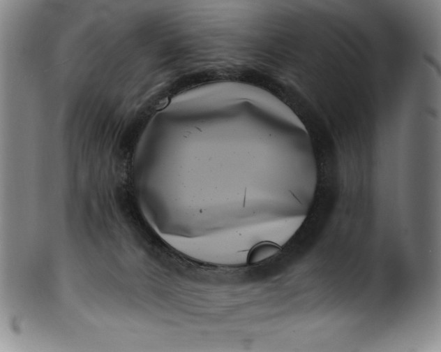 X0000099970032200806061640