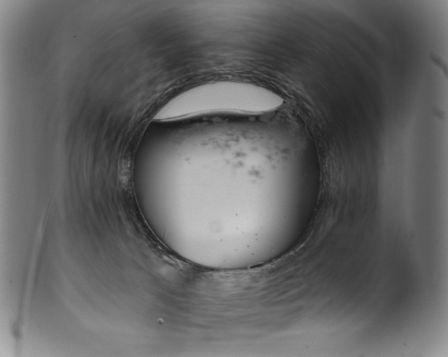 X0000099970033200806061640