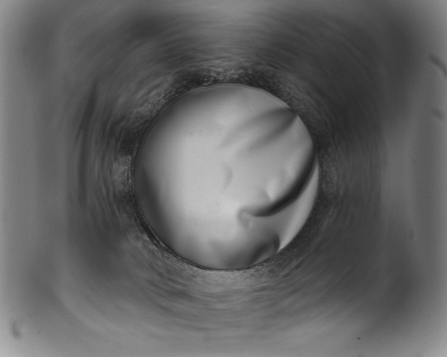 X0000099970034200806061640