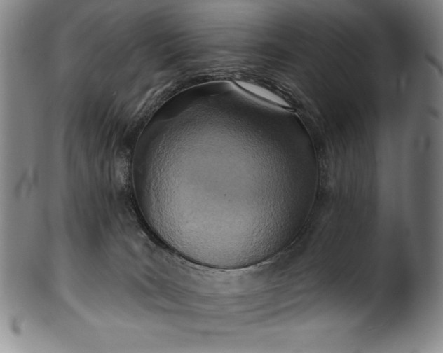 X0000099970035200806061640