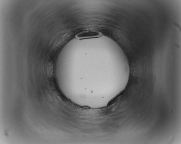 X0000099970036200806061640