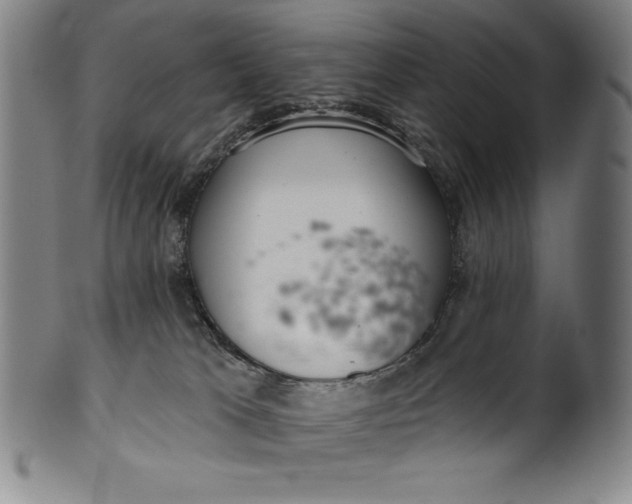 X0000099970037200806061640