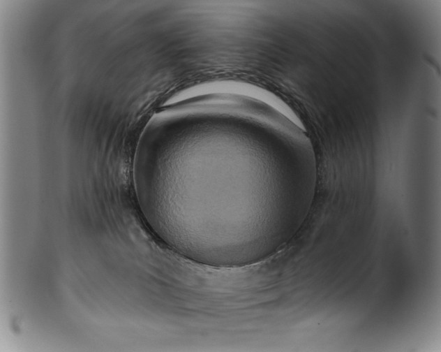 X0000099970039200806061640