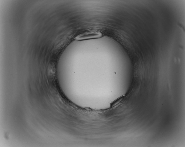 X0000099970040200806061640