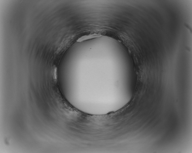 X0000099970041200806061640