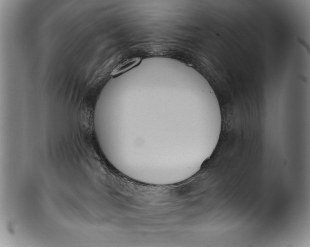 X0000099970044200806061640