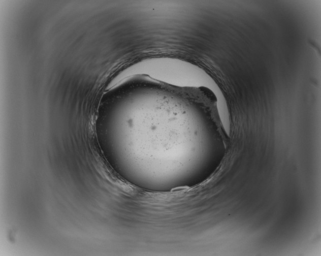 X0000099970045200806061640