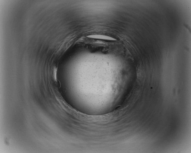 X0000099970046200806061640