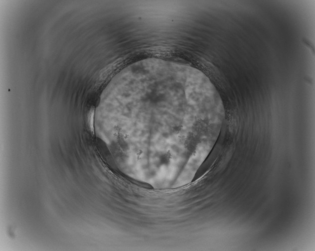 X0000099970047200806061640