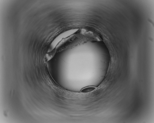 X0000099970048200806061640