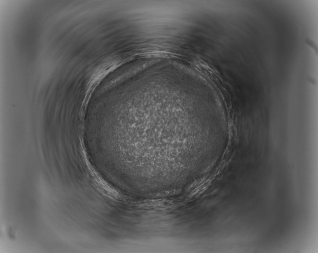 X0000099970049200806061639