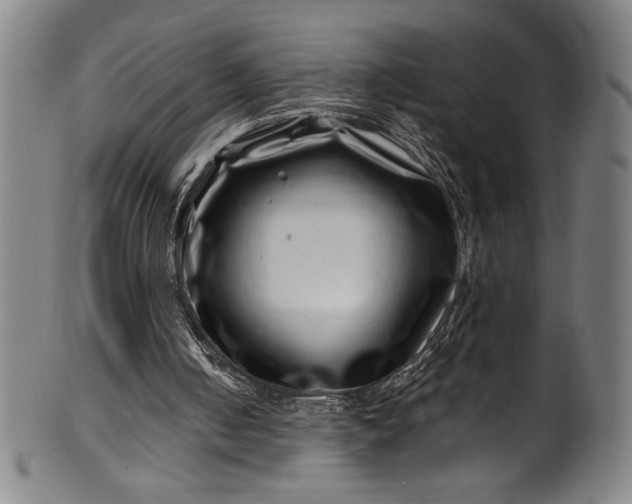 X0000099970050200806061639