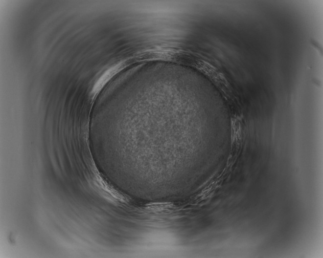 X0000099970051200806061639