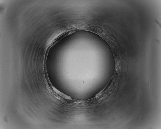 X0000099970052200806061639