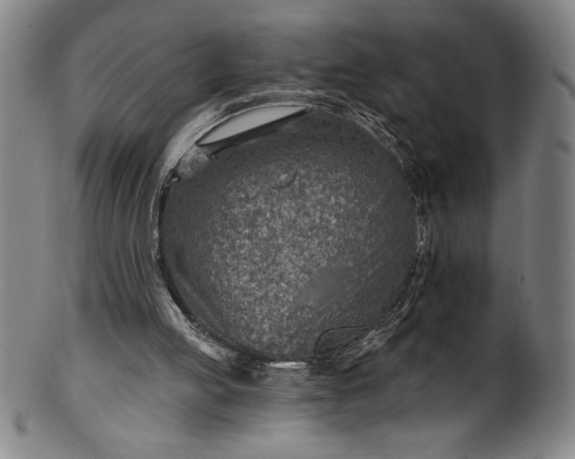 X0000099970053200806061639