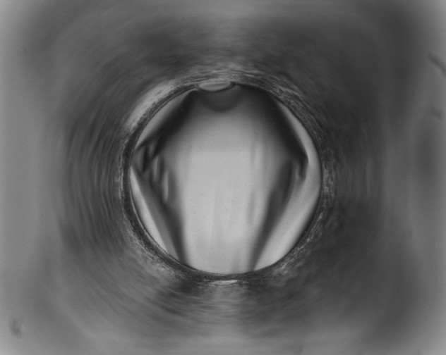 X0000099970054200806061639