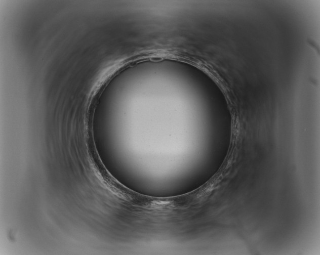 X0000099970055200806061639