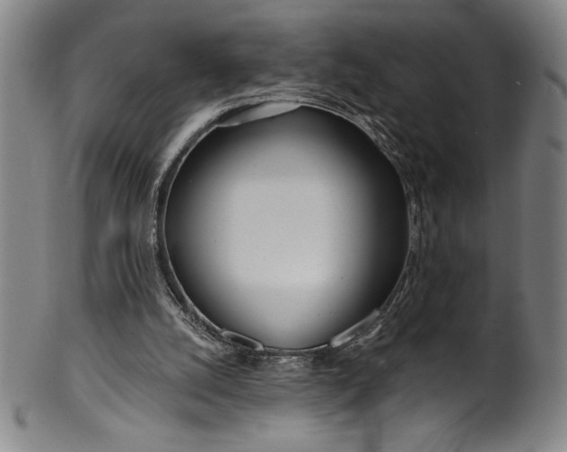 X0000099970056200806061639