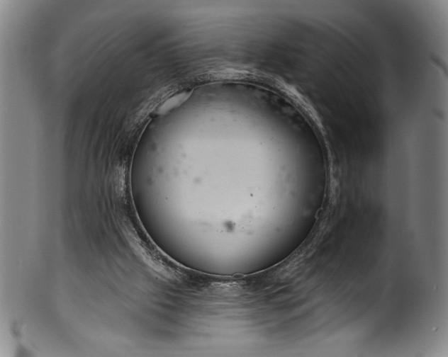 X0000099970057200806061639