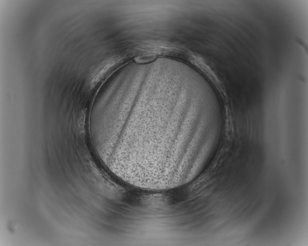 X0000099970058200806061639