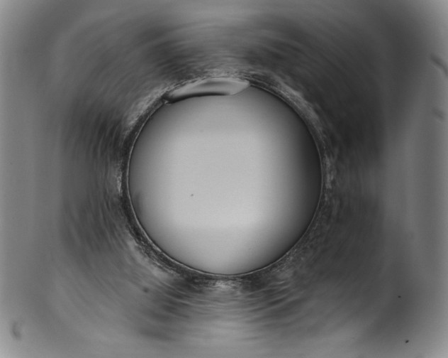 X0000099970060200806061639