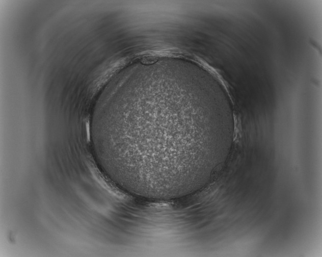 X0000099970061200806061639