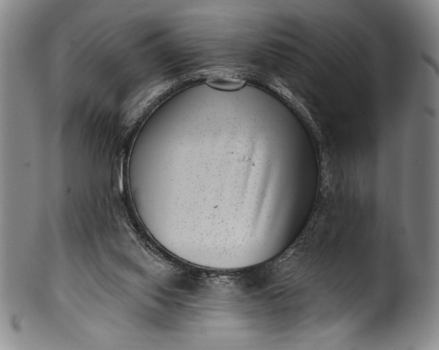 X0000099970062200806061639