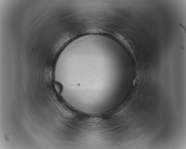 X0000099970063200806061639