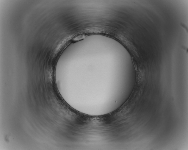 X0000099970064200806061639