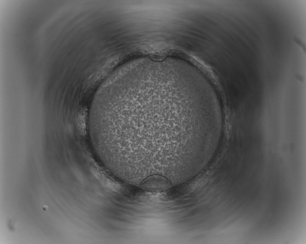 X0000099970065200806061639