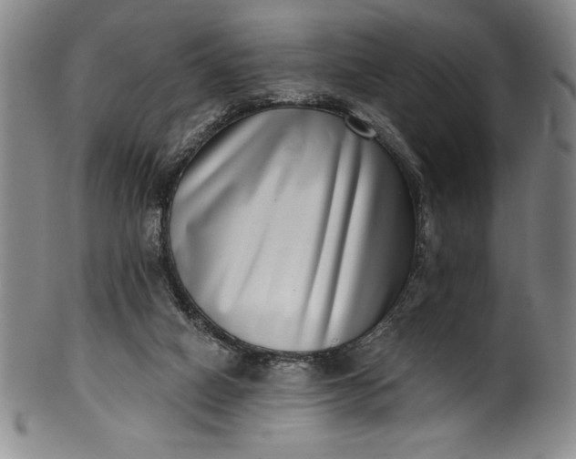 X0000099970066200806061639