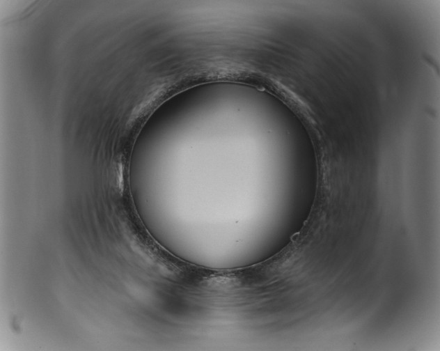 X0000099970067200806061639