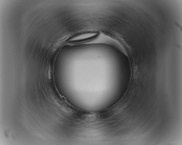 X0000099970068200806061639