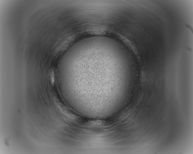 X0000099970069200806061639